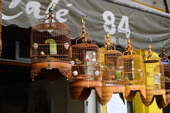 DSC_0649 (FILEminimizer)