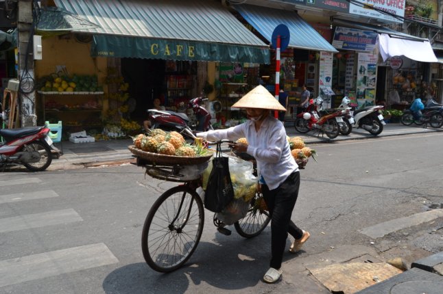 DSC_0667 (FILEminimizer)