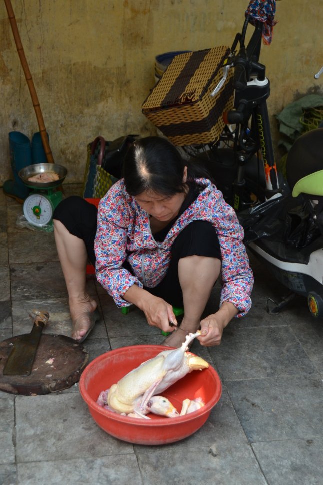 DSC_0668 (FILEminimizer)