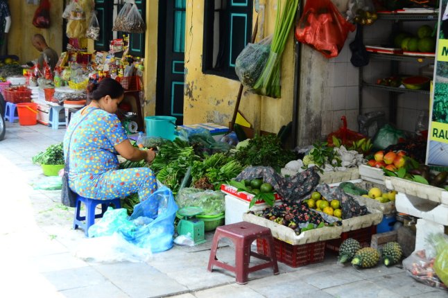 DSC_0669 (FILEminimizer)