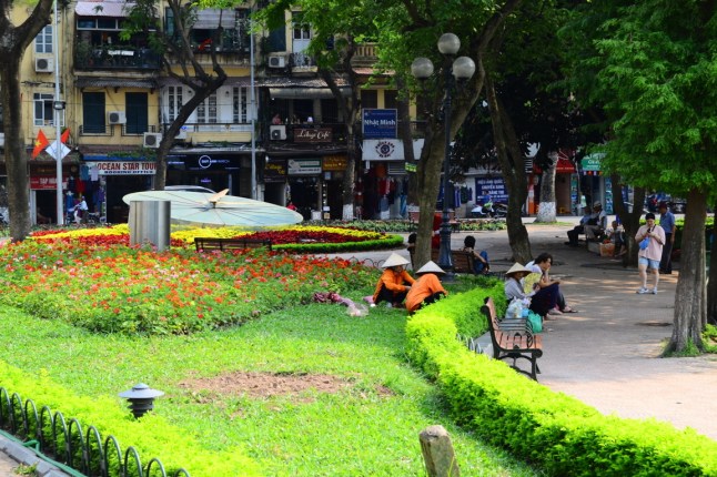 DSC_0702 (FILEminimizer)