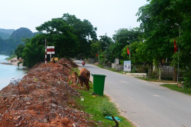 DSC_0704 (FILEminimizer)