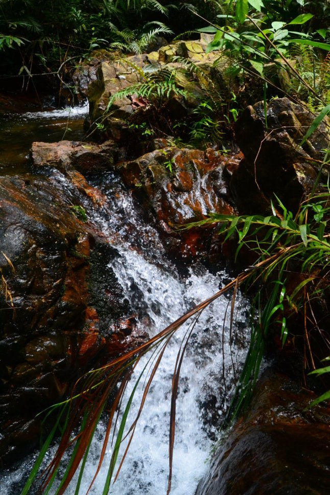 DSC_0711 (FILEminimizer)