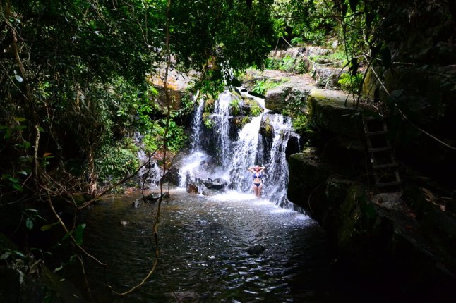 DSC_0731 (FILEminimizer)