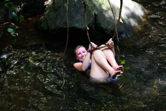 DSC_0741 (FILEminimizer)