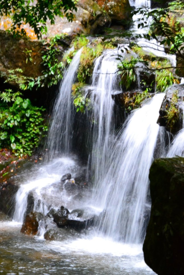 DSC_0773 (FILEminimizer)