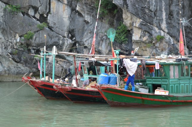 DSC_0783 (FILEminimizer)