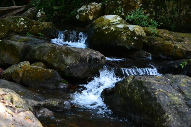 DSC_0829 (FILEminimizer)