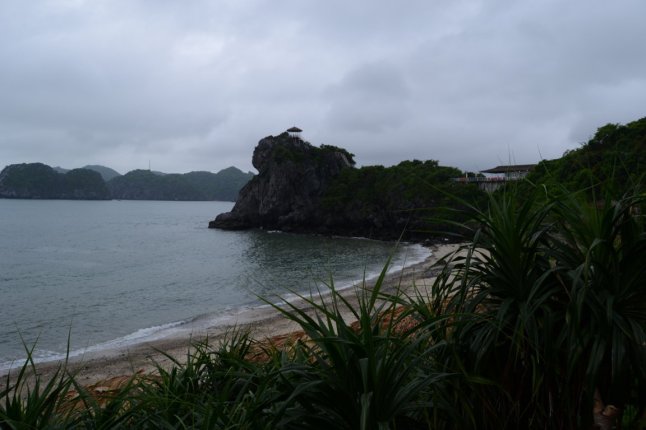 DSC_1029 (FILEminimizer)