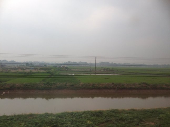 IMG_0016 (FILEminimizer)