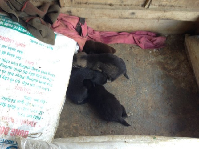 IMG_0238 (FILEminimizer)