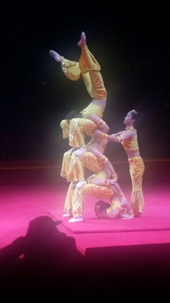 IMG_0402 (FILEminimizer)