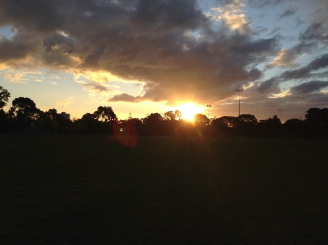 IMG_9237 (FILEminimizer)