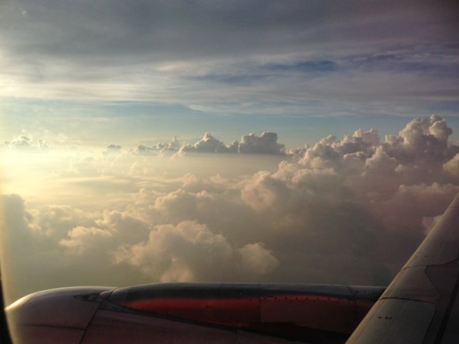 IMG_9335 (FILEminimizer)