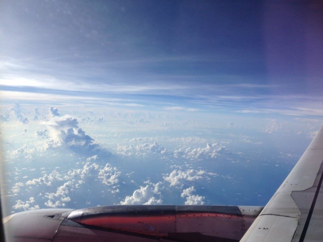 IMG_9341 (FILEminimizer)