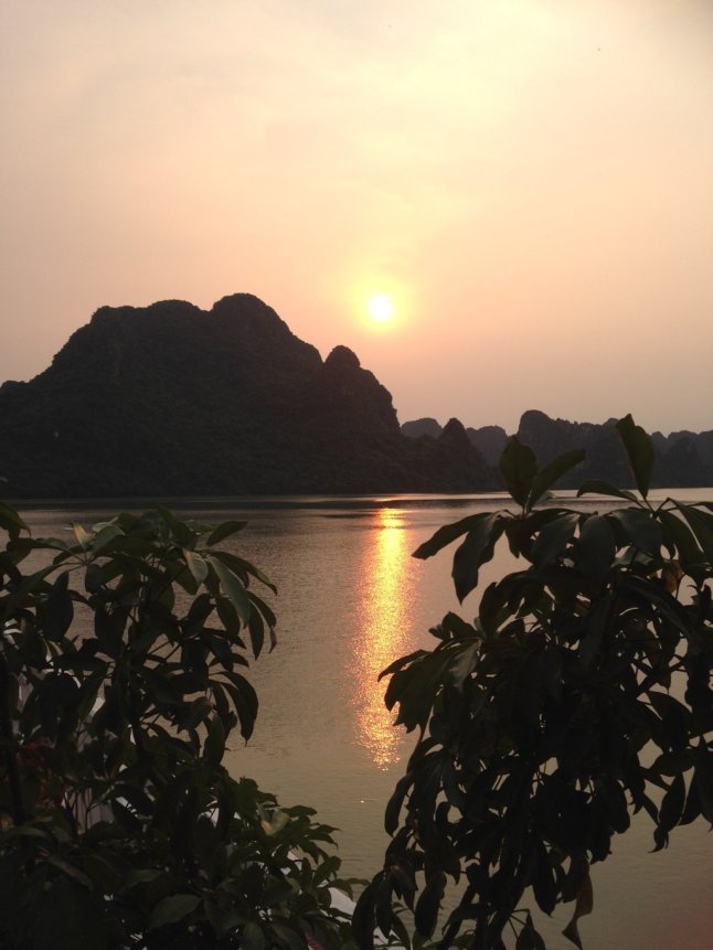 IMG_9557 (FILEminimizer)