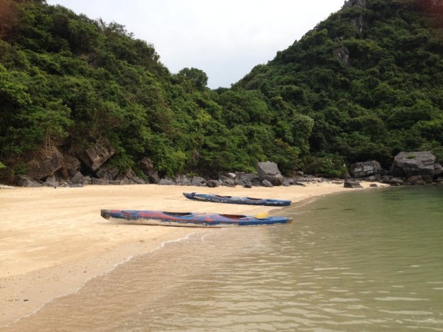 IMG_9581 (FILEminimizer)