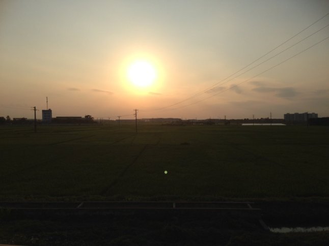 IMG_9639 (FILEminimizer)