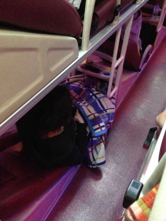 IMG_9813 (FILEminimizer)