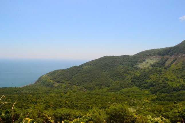 DSC_0006 (FILEminimizer)