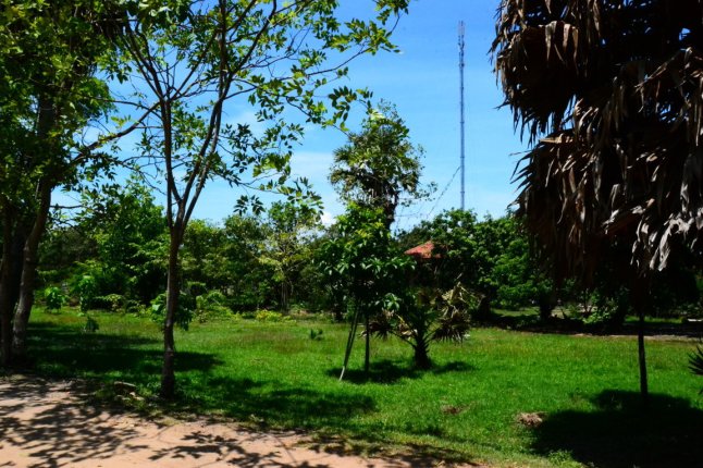 DSC_0007 (FILEminimizer)