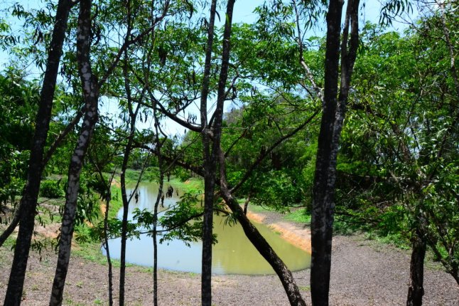 DSC_0013 (FILEminimizer)