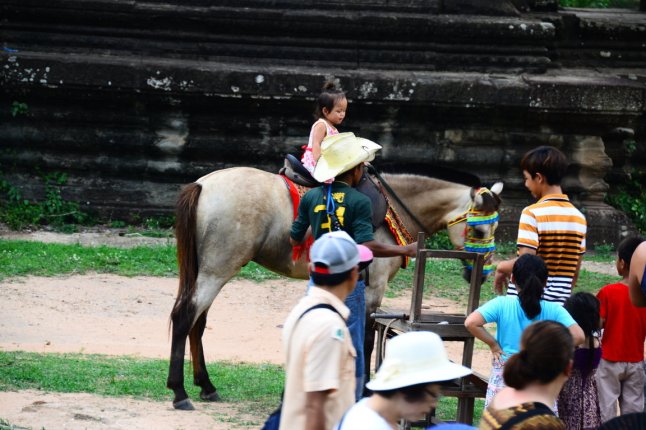 DSC_0015 (FILEminimizer)