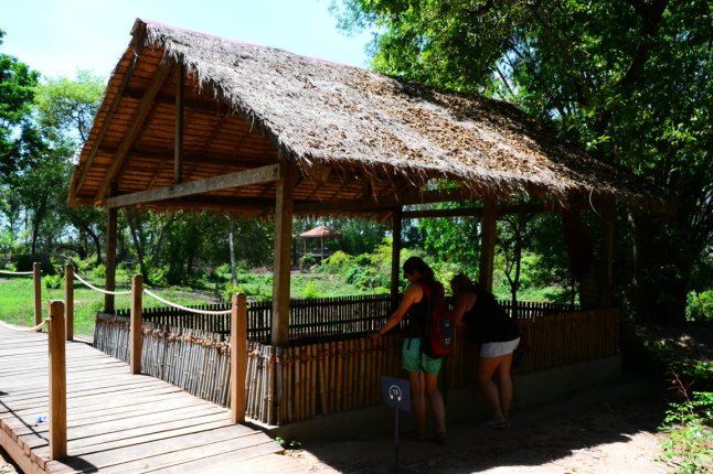 DSC_0020 (FILEminimizer)