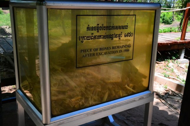 DSC_0028 (FILEminimizer)