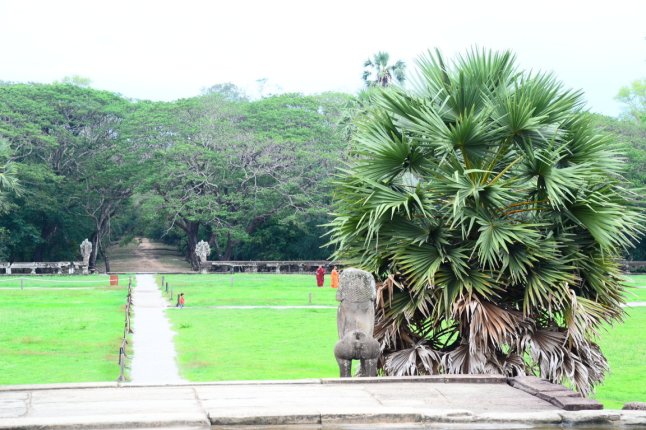 DSC_0028 (FILEminimizer)