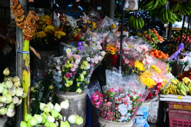 DSC_0049 (FILEminimizer)