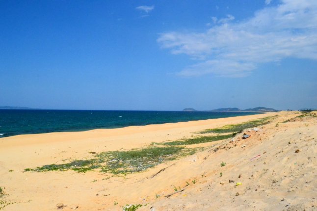 DSC_0050 (FILEminimizer)