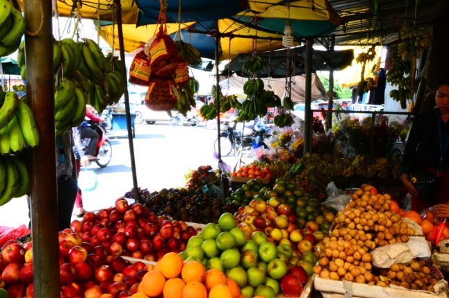 DSC_0058 (FILEminimizer)