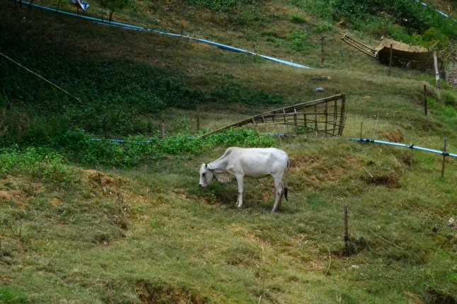 DSC_0061 (FILEminimizer)