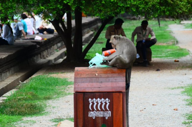 DSC_0082 (FILEminimizer)