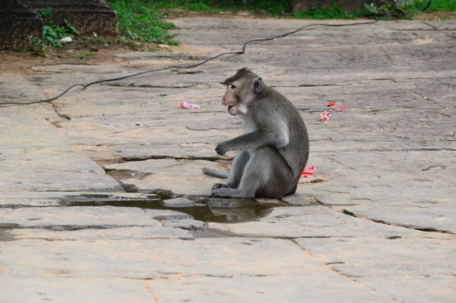 DSC_0085 (FILEminimizer)