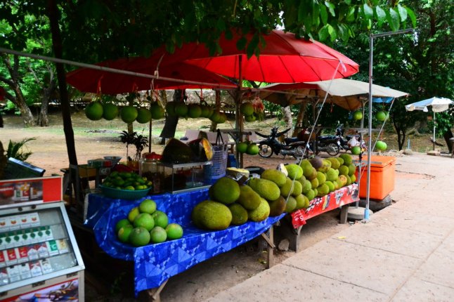 DSC_0139 (FILEminimizer)