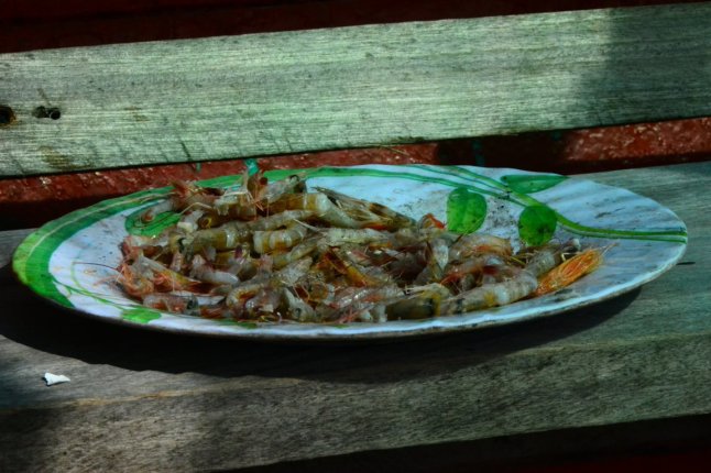 DSC_0141 (FILEminimizer)