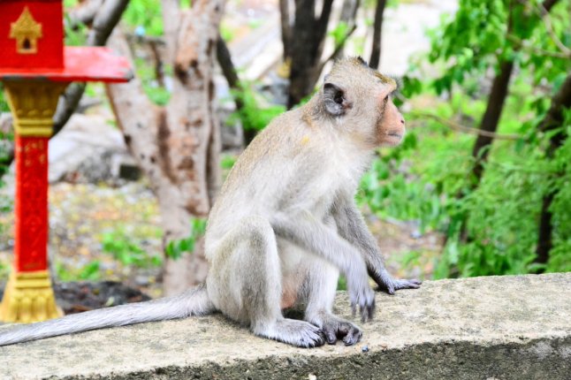 DSC_0170 (FILEminimizer)