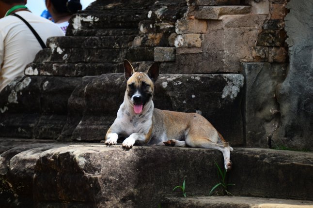 DSC_0188 (FILEminimizer)