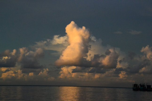 DSC_0192 (FILEminimizer)