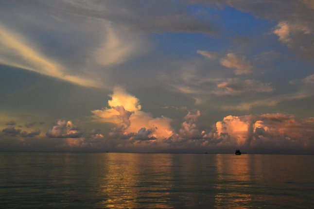 DSC_0194 (FILEminimizer)