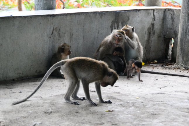 DSC_0195 (FILEminimizer)