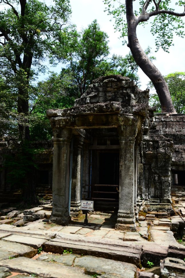 DSC_0217 (FILEminimizer)