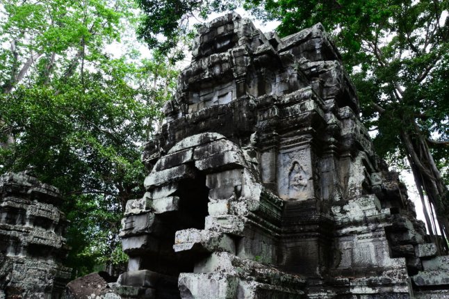 DSC_0231 (FILEminimizer)