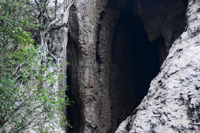 DSC_0235 (FILEminimizer)