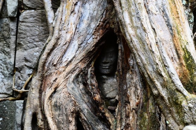 DSC_0239 (FILEminimizer)