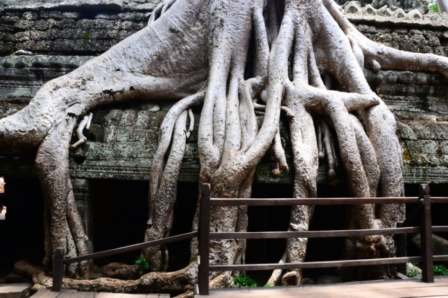 DSC_0256 (FILEminimizer)