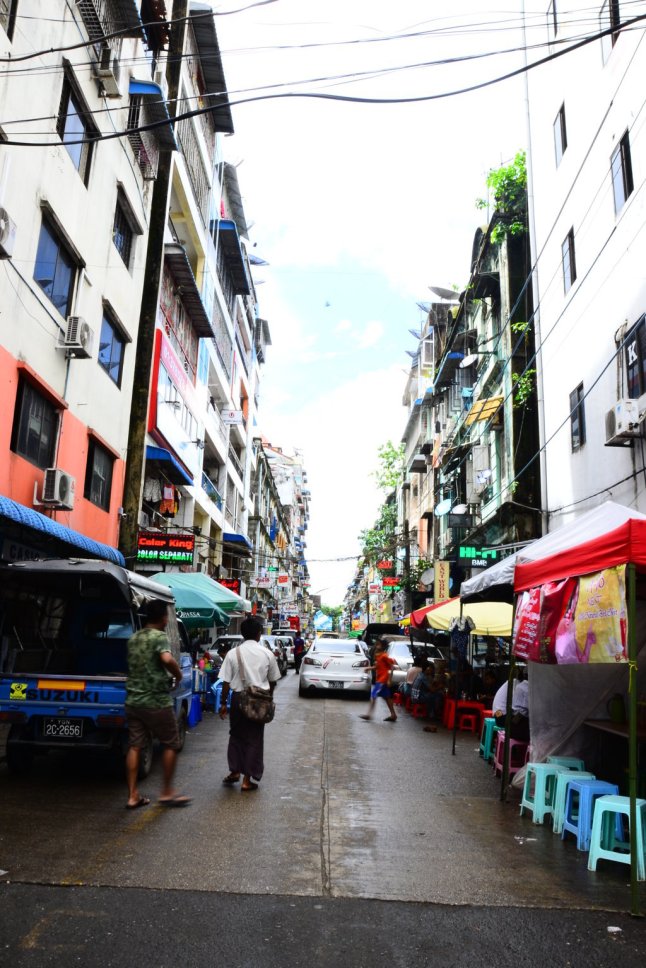 DSC_0287 (FILEminimizer)