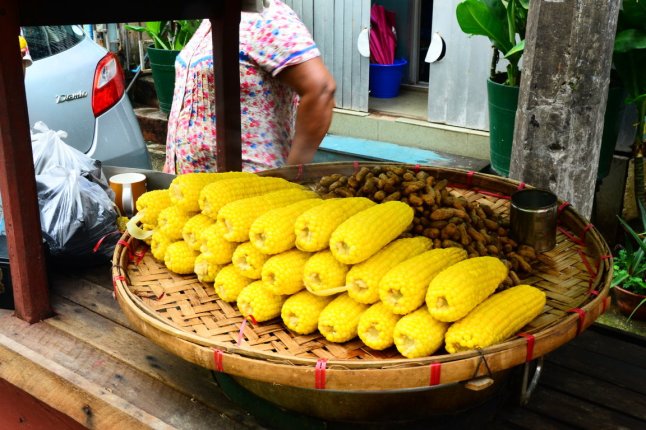 DSC_0302 (FILEminimizer)